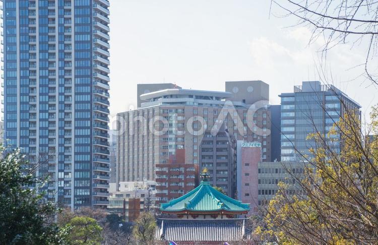 不忍池弁天堂と街並み 不忍池,弁天堂,上野の写真素材