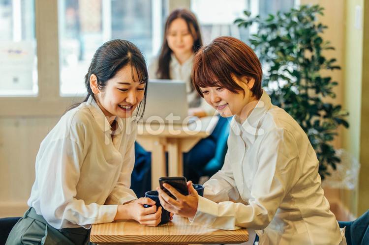 カフェにいるビジネスウーマン 打合せ,打ち合わせ,仲間の写真素材