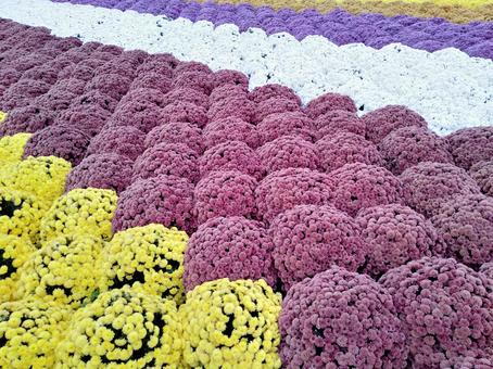 花園 花園の写真