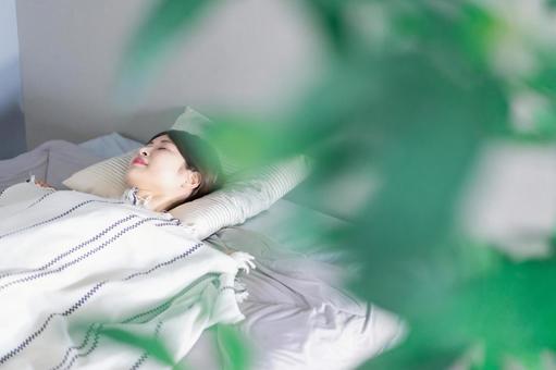 ベッドで熟睡する若い女性 ベッドで熟睡する若い女性の写真