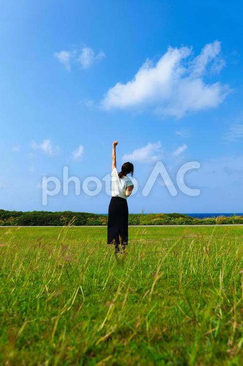 青空と草原に立つ女性の後ろ姿 青空,女性,人物の写真素材