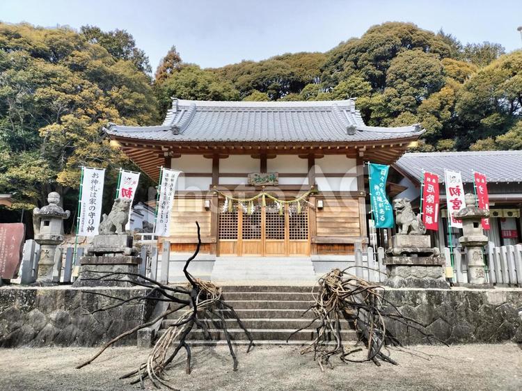 鳥羽神明宮と火祭りで使われたすずみ 鳥羽の火祭り,鳥羽神明宮,天下の奇祭の写真素材
