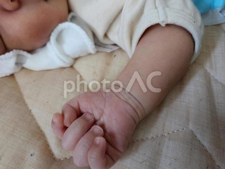 新生児 新生児,赤ちゃん,小さい手の写真素材