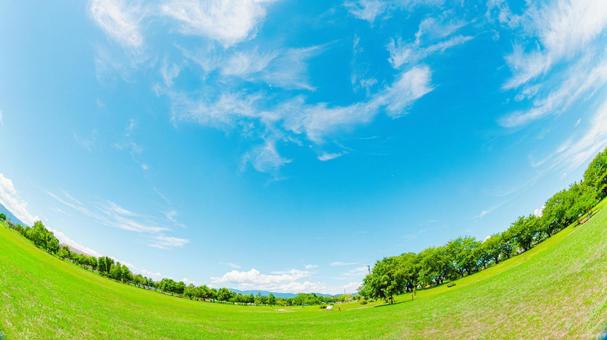 夏の公園 夏の公園の写真