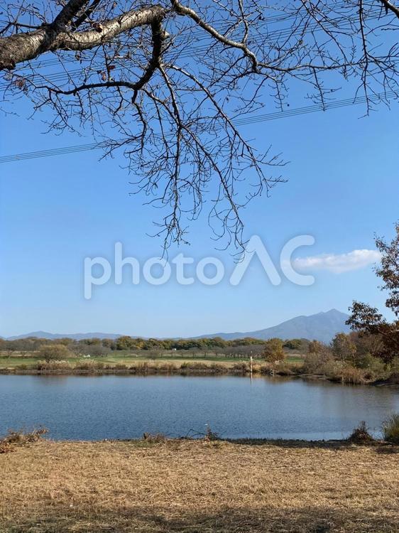冬の風景 風景,木,晴れの写真素材
