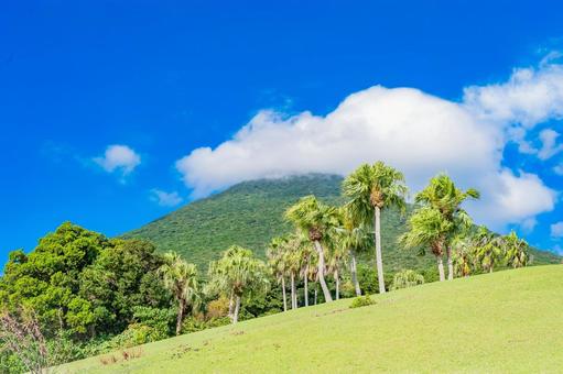 鹿児島　開聞山麓自然公園（トカラ馬牧場） 開聞山麓自然公園,トカラ馬牧場,開聞岳の写真素材