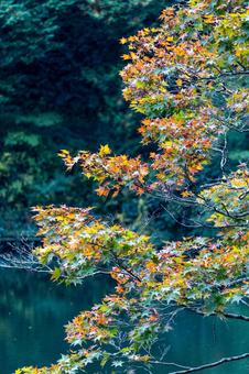 湖と色づく秋の風景 湖と色づく秋の風景の写真