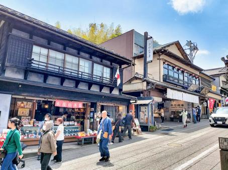 成田山新勝寺の表参道の賑わい 成田山新勝寺の表参道の賑わい 成田山,新勝寺,表参道の写真素材