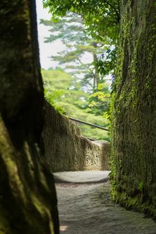 奥へ続く小道 奥へ続く小道 道,岩,小道の写真素材