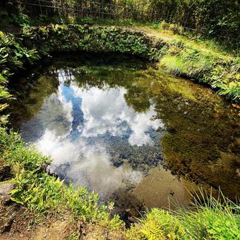 光る池 光る池の写真