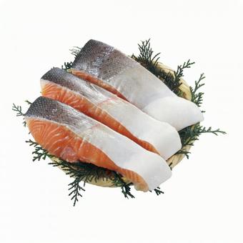 鮭の切身 鮭の切身 鮭,切り身,シャケの写真素材