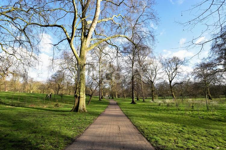 ヨーロッパ・イギリスの昼下がりの公園 公園,ヨーロッパ,自然の写真素材