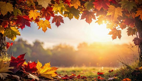 紅葉に包まれる夕暮れ 紅葉に包まれる夕暮れの写真