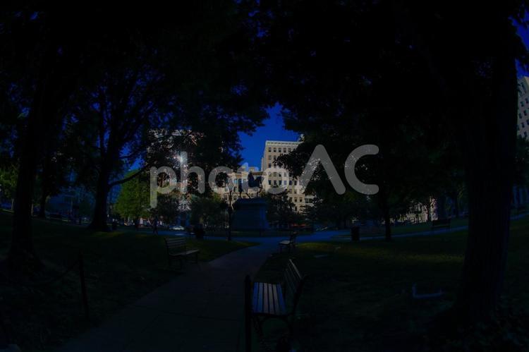 夜の公園とビル群 夜,公園,ビル群の写真素材