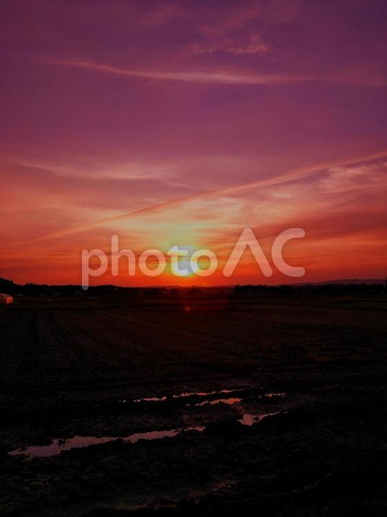 夕日が沈む初夏の風景 夕日,日暮れ,暁の写真素材