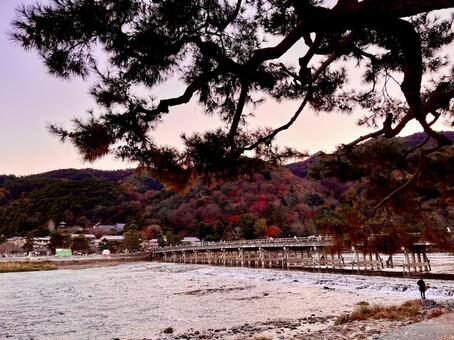 晩秋の嵐山 渡月橋,嵐山,京都の写真素材