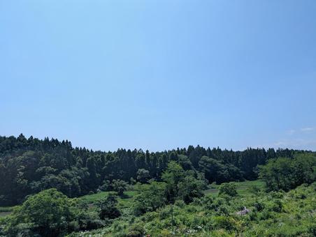 山 山の写真