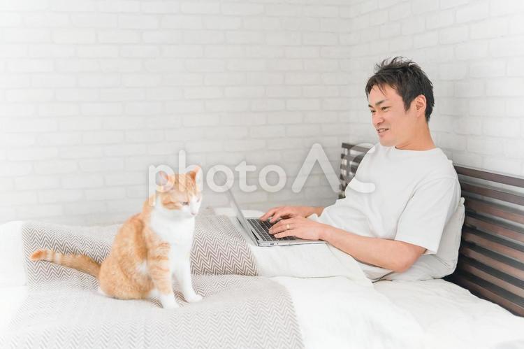 猫・ペットと一緒にテレワークする男性 猫,パソコン,ペットの写真素材