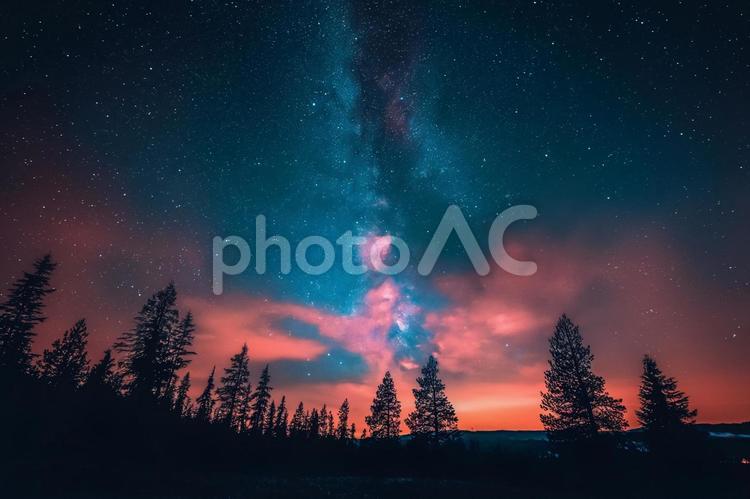 星降る森と幻想の夜空 星空,森林,夜空の写真素材