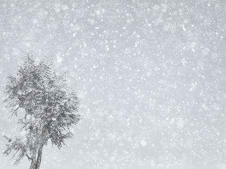 冬の景色 3 冬の景色 3 雪,雪雲,雪景色の写真素材