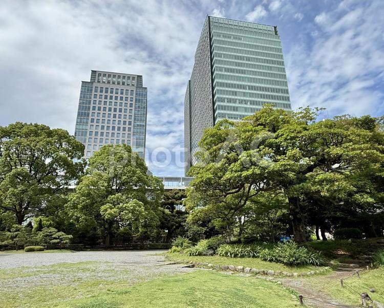 6月　旧芝離宮恩賜庭園 旧芝離宮恩賜庭園,都会の自然,6月の写真素材