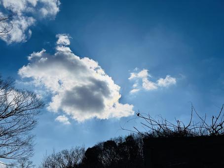 青空　雲の写真