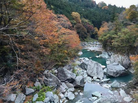 紅葉の三波石峡 紅葉の三波石峡 三波石峡,神流川,紅葉の写真素材