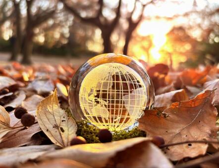 夕焼けに染まる森の落ち葉とガラスの地球儀 エコ,環境,地球の写真素材