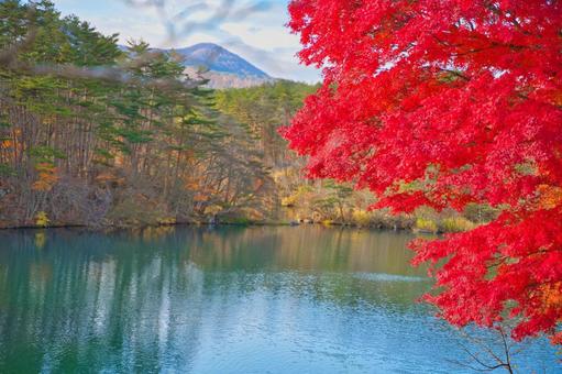 裏磐梯 毘沙門沼の紅葉 紅葉,沼,毘沙門沼の写真素材