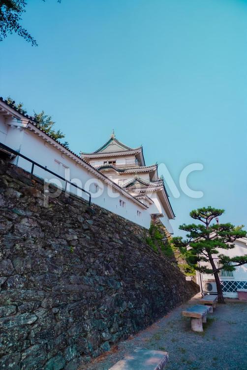 【和歌山】和歌山城 2025 和歌山城,和歌山,城の写真素材