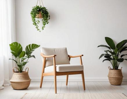 観葉植物とナチュラルチェア 観葉植物とナチュラルチェアの写真