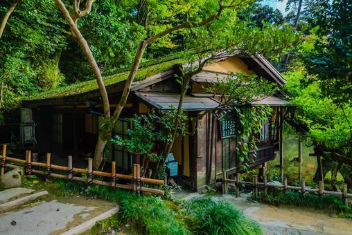 【石川】兼六園 文化財指定庭園 【石川】兼六園 文化財指定庭園 石川,兼六園,金沢の写真素材