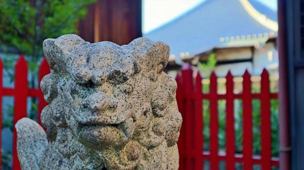 赤い柵と背景の寺院を背にした狛犬の石像 犬,石像,寺院の写真素材