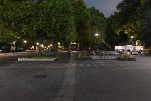 上野公園 上野公園 上野公園,上野恩賜公園,上野の写真素材