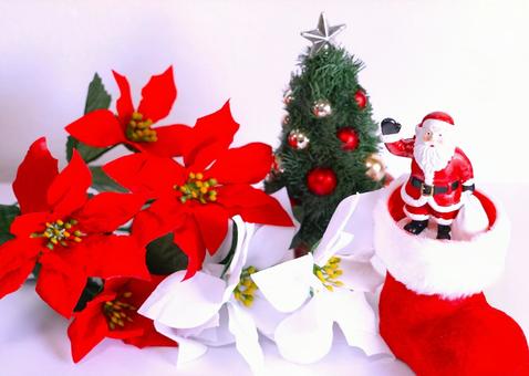 クリスマス④ クリスマス,サンタクロース,ポインセチアの写真素材