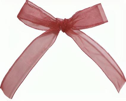 シンプルなオーガンジーリボン　赤 リボン,フレーム,おしゃれの写真素材