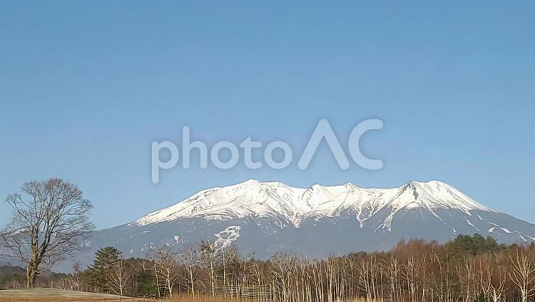 雪景色の御嶽山(御岳山)・信州から撮影 御嶽山,山,雪の写真素材