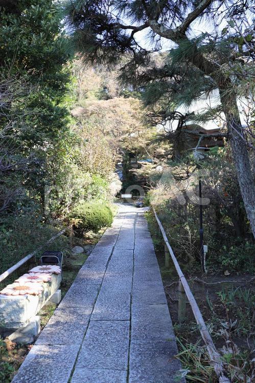 鎌倉・妙法寺の風景 鎌倉,妙法寺,歴史の写真素材