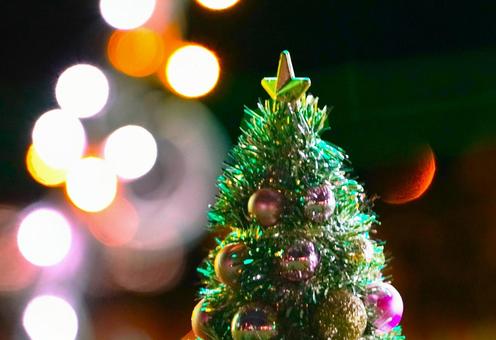 イルミ＆ツリーの写真