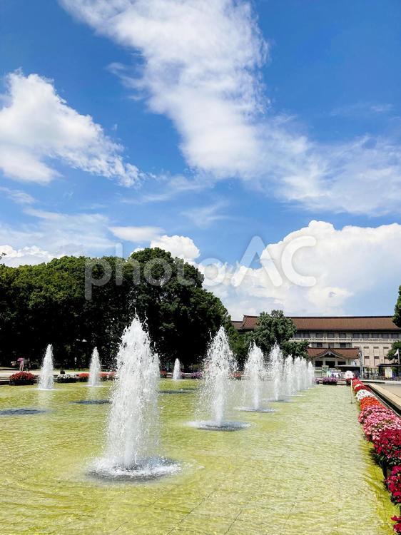 東京風景・上野公園 上野公園,上野恩賜公園,噴水広場の写真素材