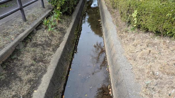 小川のせせらぎ 小川のせせらぎ,小川,自然の写真素材