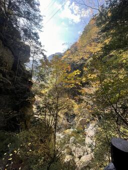 晩秋の紅葉 山,空,緑の写真素材