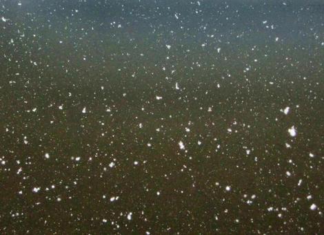 夜の雪のボケ背景-7 背景,ボケ,夜の写真素材