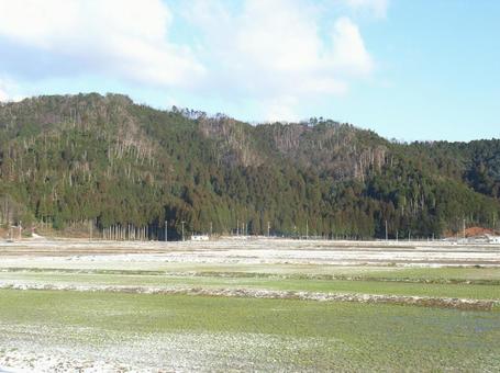 余呉田園 余呉田園の写真