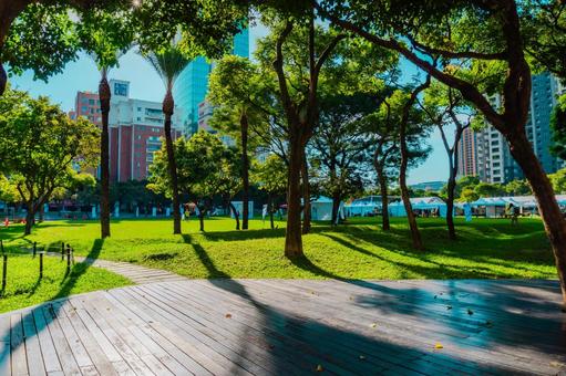 【台湾】台中の夏の公園 2025 【台湾】台中の夏の公園 2025 台湾,台中,公園の写真素材