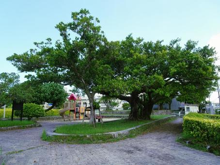 ガジュマル児童公園 ガジュマル児童公園の写真