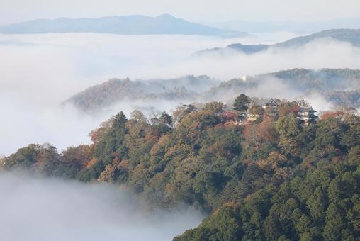 備中松山城 備中松山城の写真