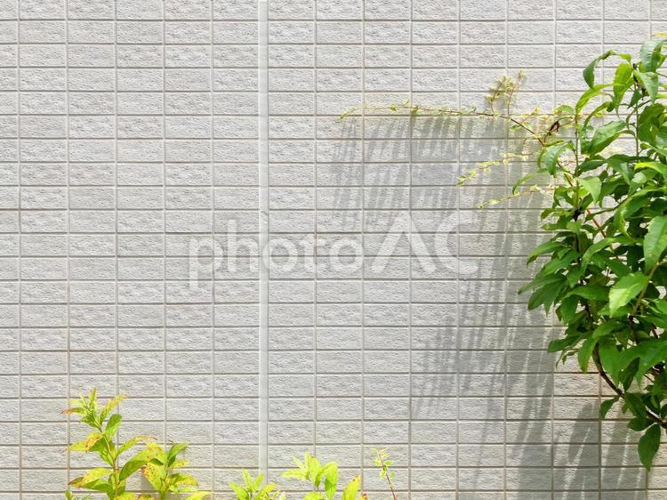 タイルブロックの壁面と植物の背景素材_d_02 背景,背景素材,コピースペースの写真素材