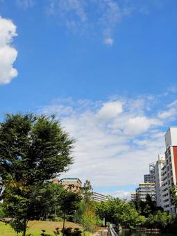 初秋の親水公園・のんびり散歩(江東区) 初秋の親水公園・のんびり散歩(江東区) 初秋,東京都,公園の写真素材