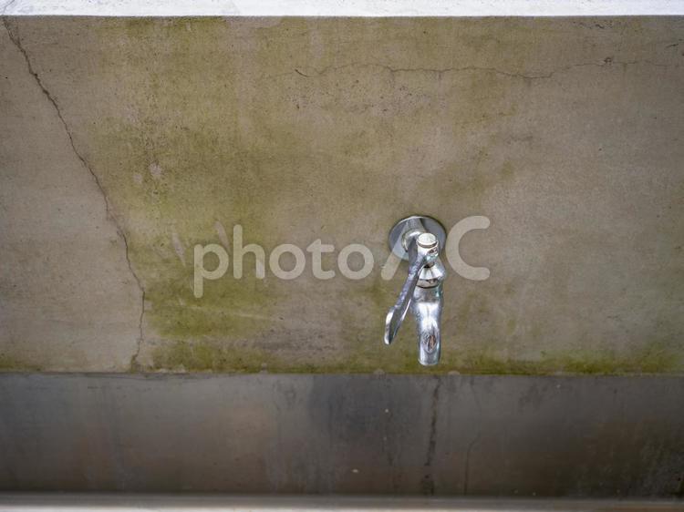 校庭の蛇口 水道,蛇口,水の写真素材